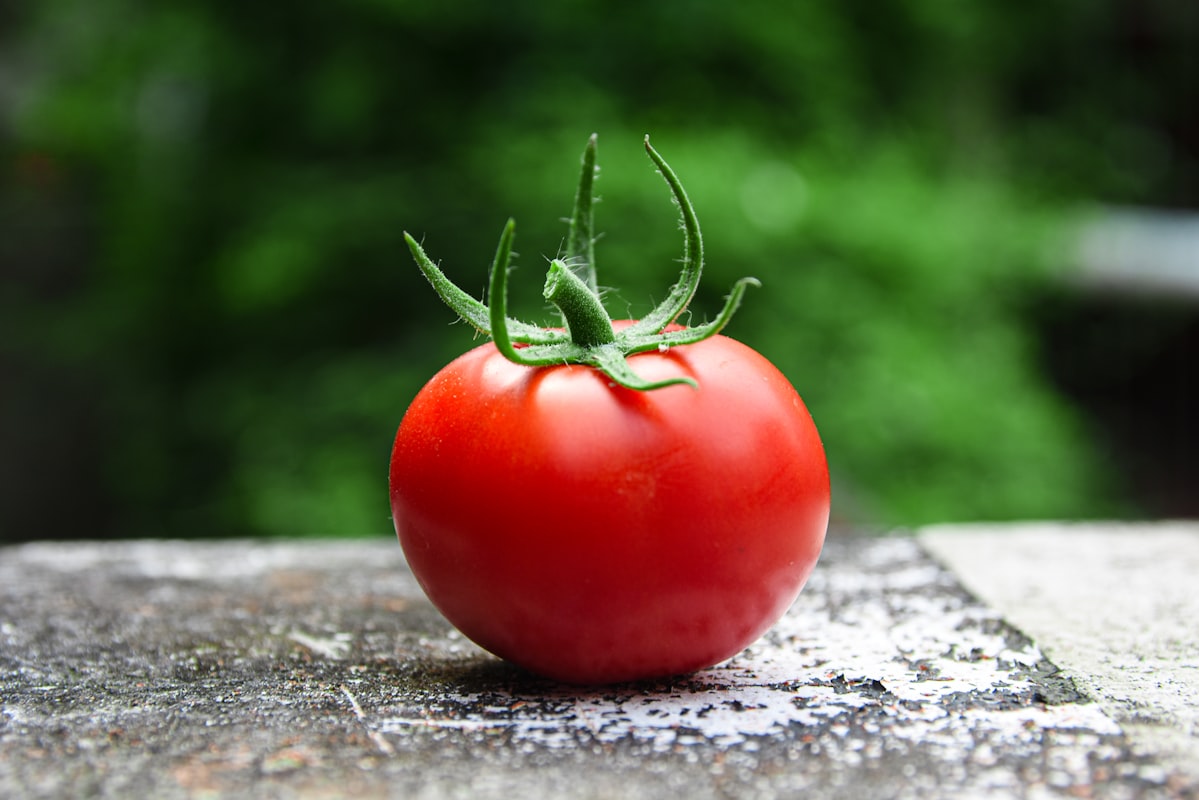 Colorful nutrient-rich foods